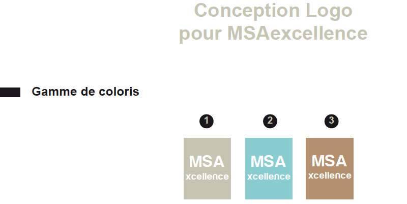 logo-réalise-pour-msaxcellence